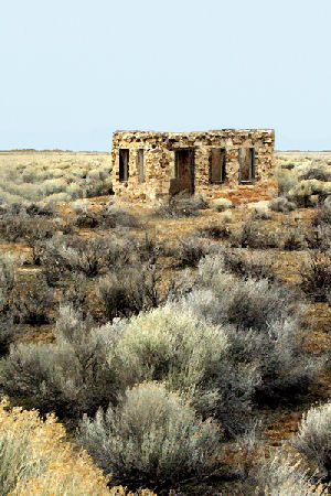 Hannan Print Gallery