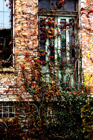 Hannan Print Gallery