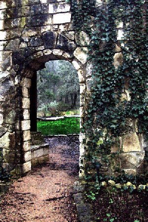 Hannan Print Gallery