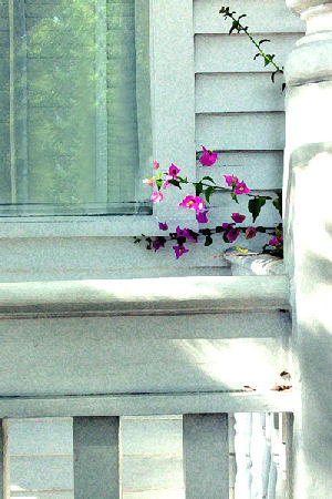 Hannan Print Gallery