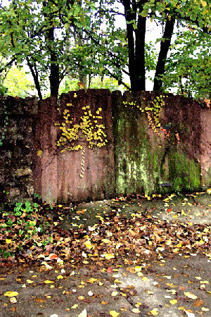 Hannan Print Gallery