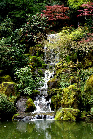 Hannan Print Gallery