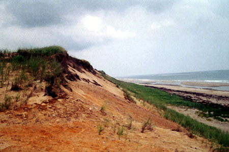 Cape Cod Dune H