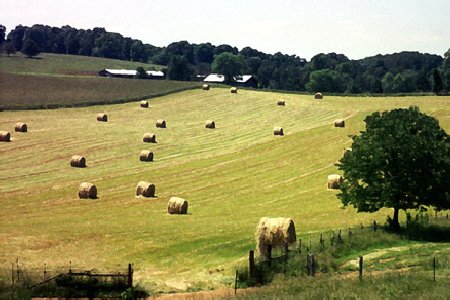 Round Bales
