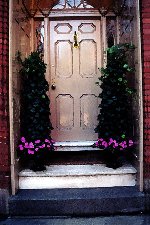 Beige and Ivy