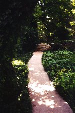 Ivy Walk Way