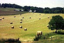 Round Bales