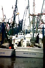 Shrimpers